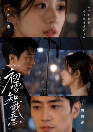 初雪知我意（13集）无需会员轻松看