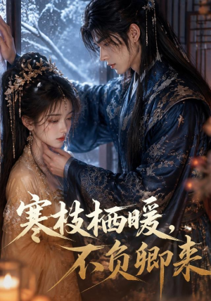 寒枝栖暖，不负卿来（50集）在哪个app能看