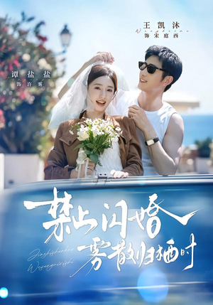 禁止闪婚，雾散归栖时（66集）更新时间