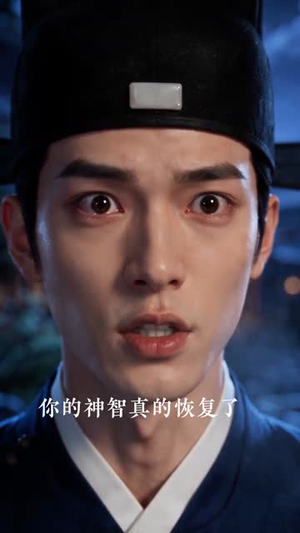 不辞风雨（90集）热播短剧全集看