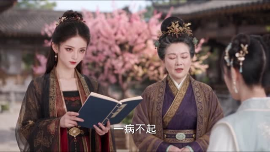 笨蛋王妃纨绔王爷，掀翻这京城第一季（98集）口碑爆棚免费看