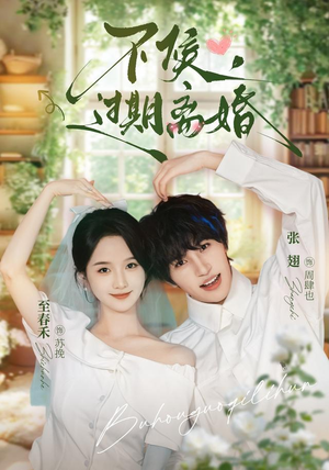 不候，过期离婚（86集）热播短剧追不停